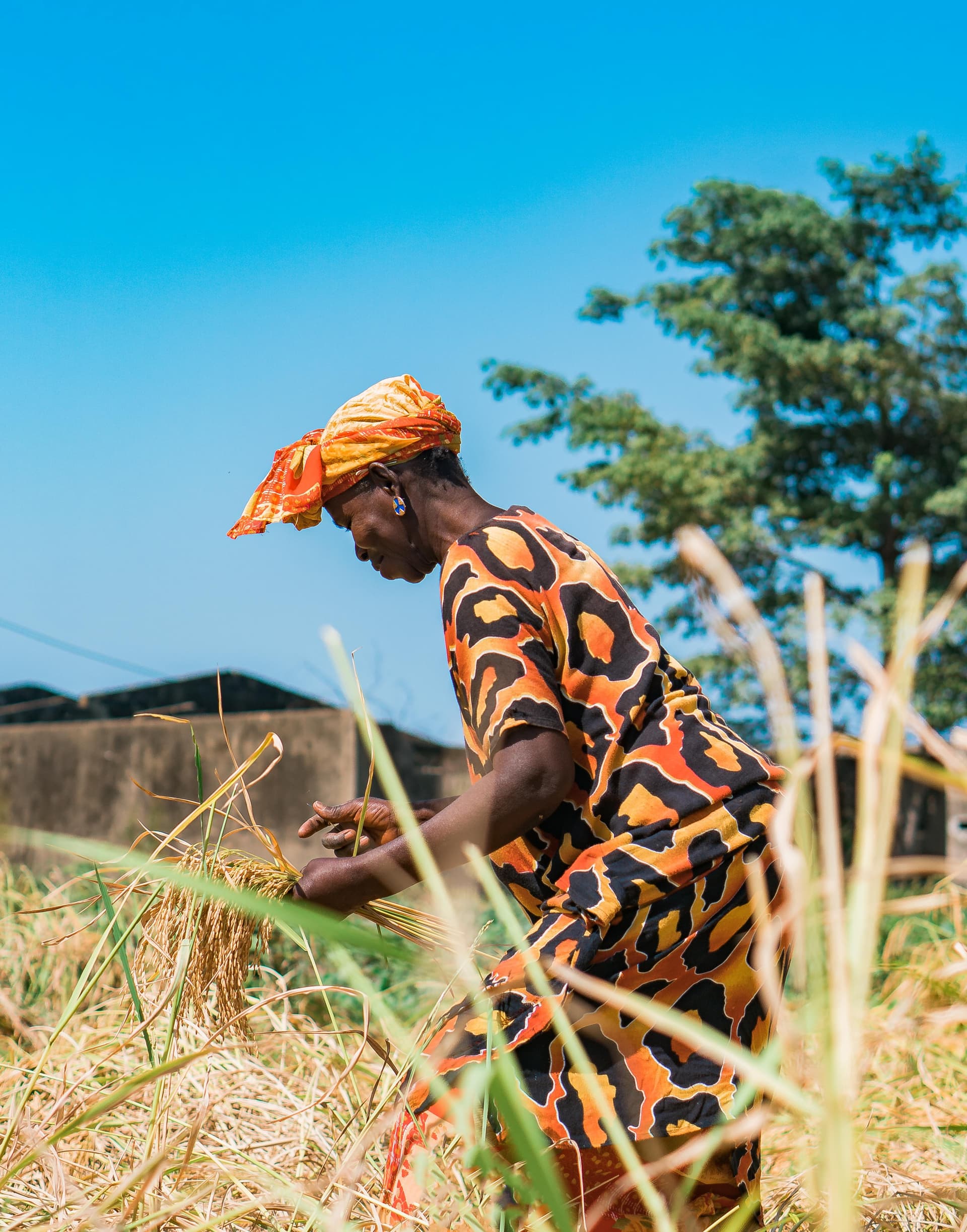 Woman working in the field